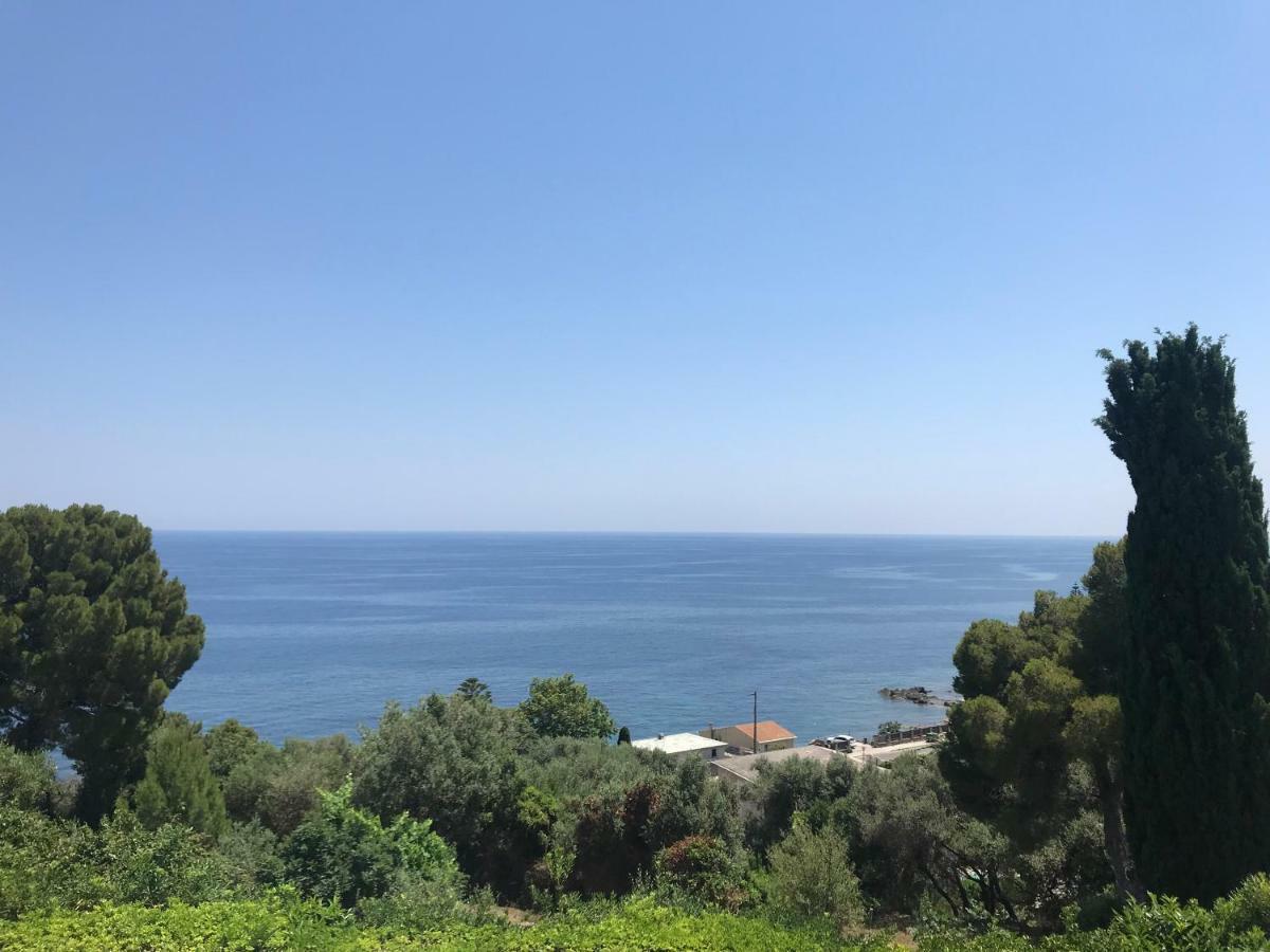 Vita Nova Santa-Maria-di-Lota المظهر الخارجي الصورة